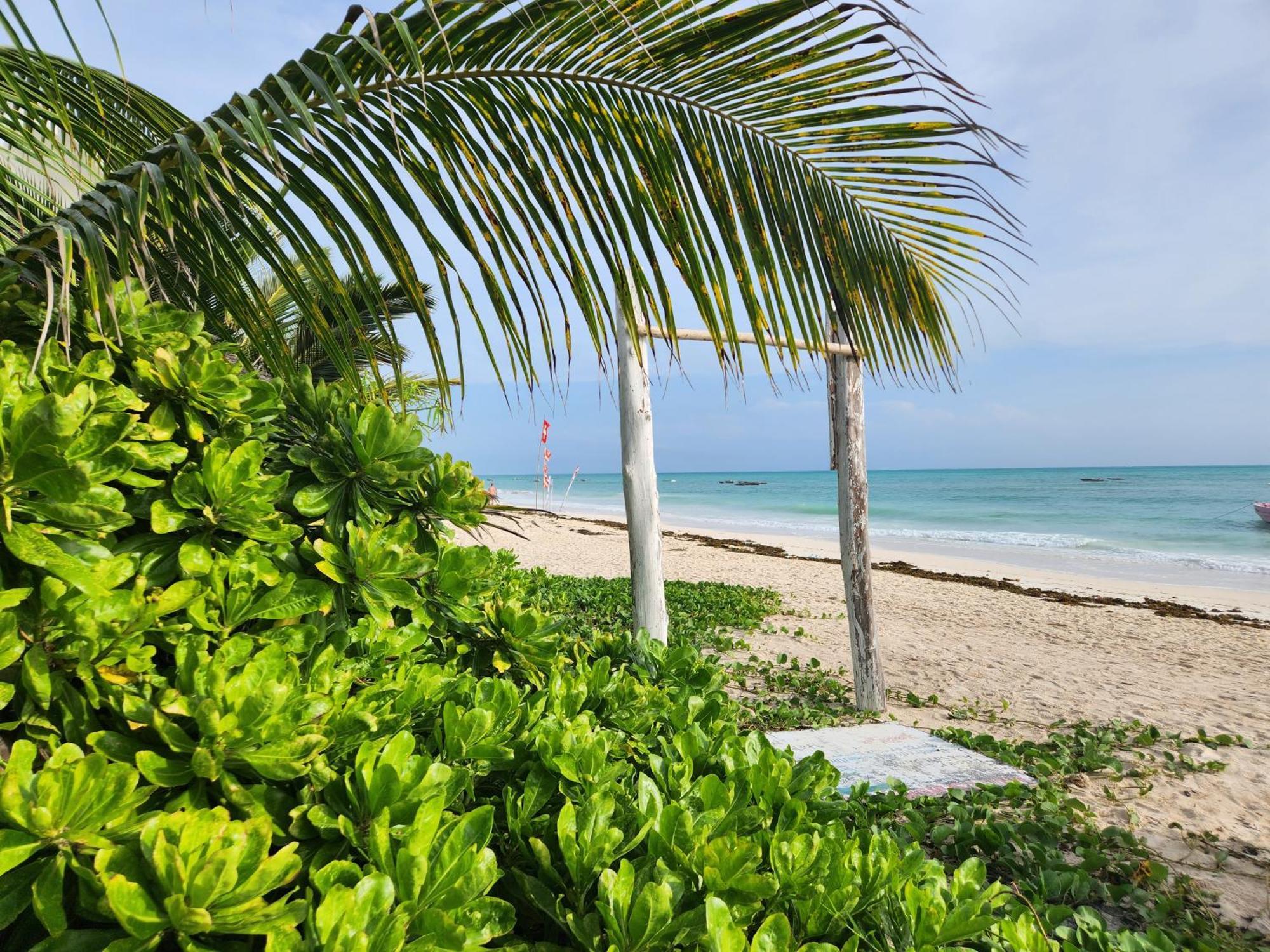 Two Palms Hotell Jambiani  Eksteriør bilde